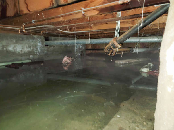 Water damage restoration process in Halesite, NY