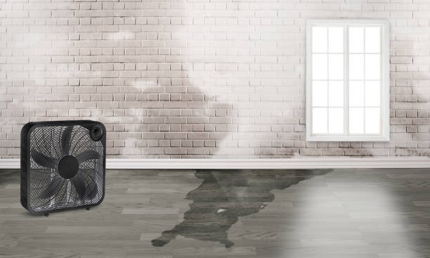 Best Residential water damage restoration  in Halesite, NY