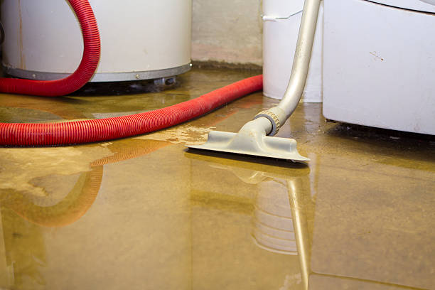Best Water damage cleanup near me  in Halesite, NY