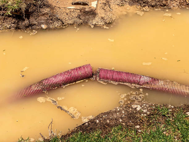 Best Emergency water damage restoration  in Halesite, NY